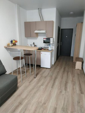 *Apartments in the center of Kharkov*, Kharkiv